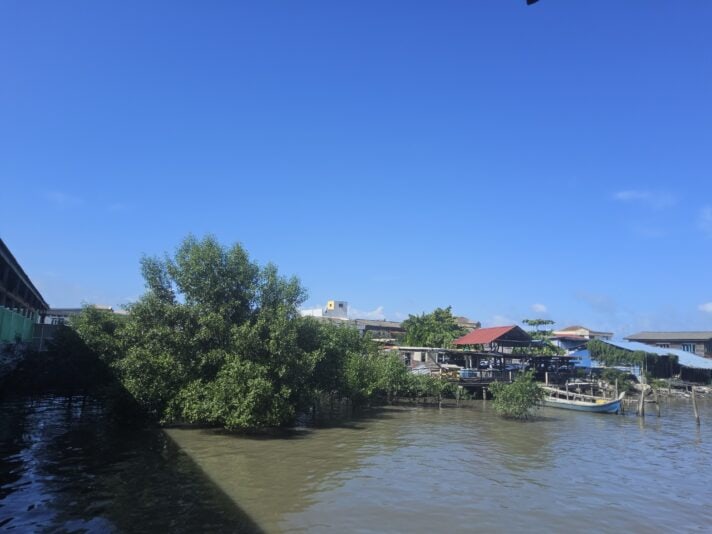 1752201588687773800808087641956