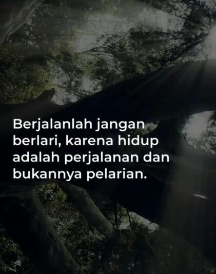 WhatsApp Image 2025-07-12 at 22.46.34_1a00307f