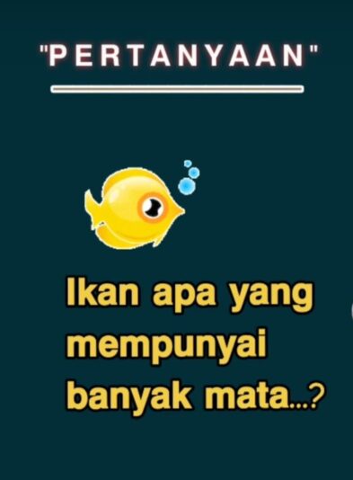 WhatsApp Image 2025-06-24 at 21.23.44_f95d8e94