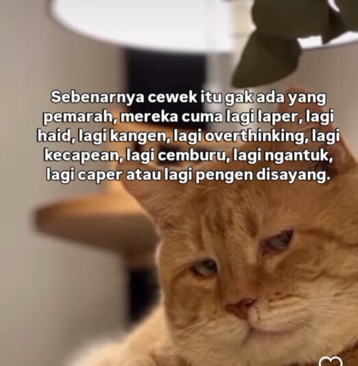 Screenshot_2025-07-18-09-11-09-187_com.instagram.android