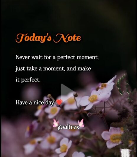 WhatsApp Image 2025-07-17 at 22.24.19_803f649f