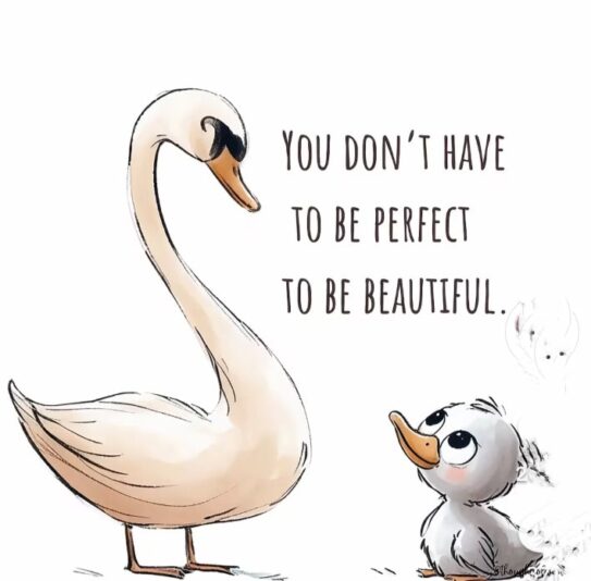 WhatsApp Image 2025-07-11 at 15.08.10_0fe5e387