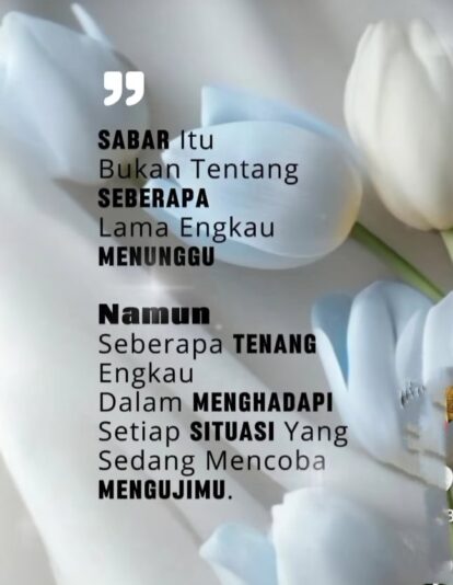 WhatsApp Image 2025-07-01 at 21.11.59_1febbf09