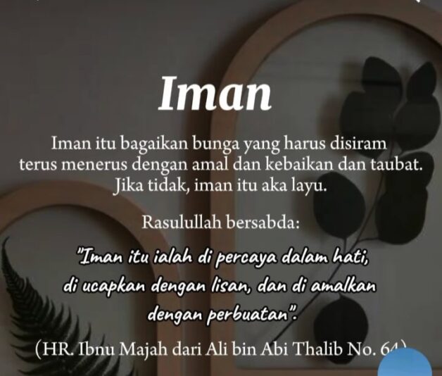 WhatsApp Image 2025-06-23 at 21.01.20_b0a6dd05