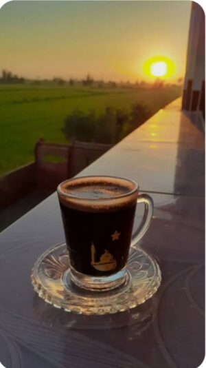 Screenshot_20250723_060848_Opera Mini