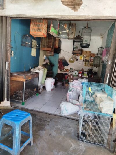 17532433433591937724005903845623