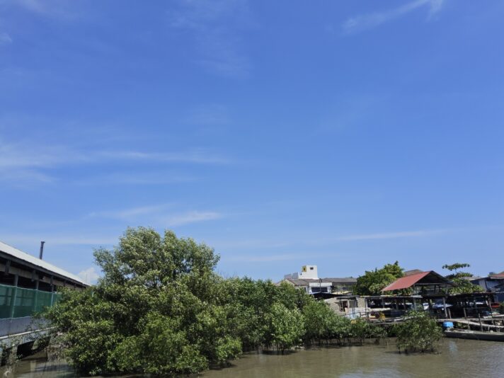 17533398336938351961342247039451