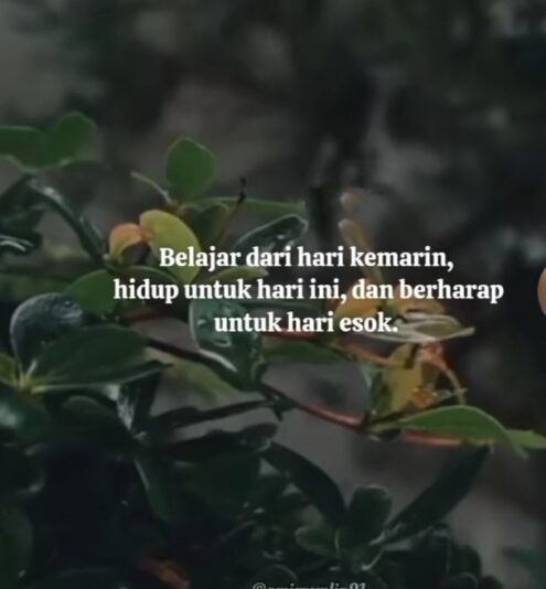 WhatsApp Image 2025-07-05 at 21.19.49_38a0cc1d