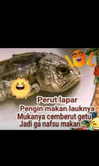 WhatsApp Image 2025-07-28 at 22.19.04