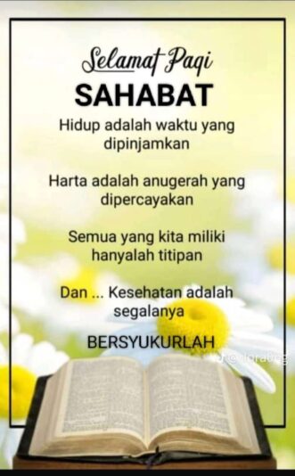 ada2ecce-3675-455d-89a1-19e5755eae58