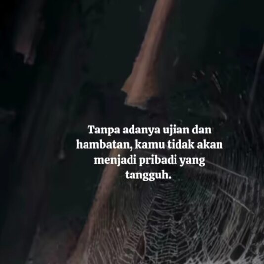 WhatsApp Image 2025-07-05 at 21.19.48_cf9c08af