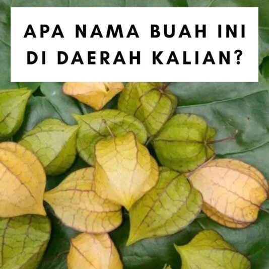 FB_IMG_1753780799263