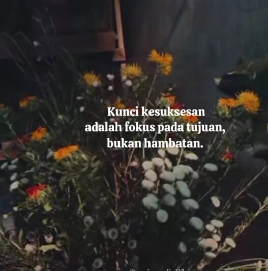 WhatsApp Image 2025-07-05 at 21.19.49_59bc6ce1