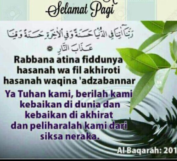 Screenshot_20250805_061434_WhatsApp