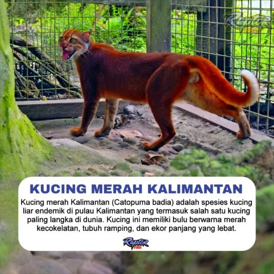 525976418_1198318018975491_5203617180018594131_n