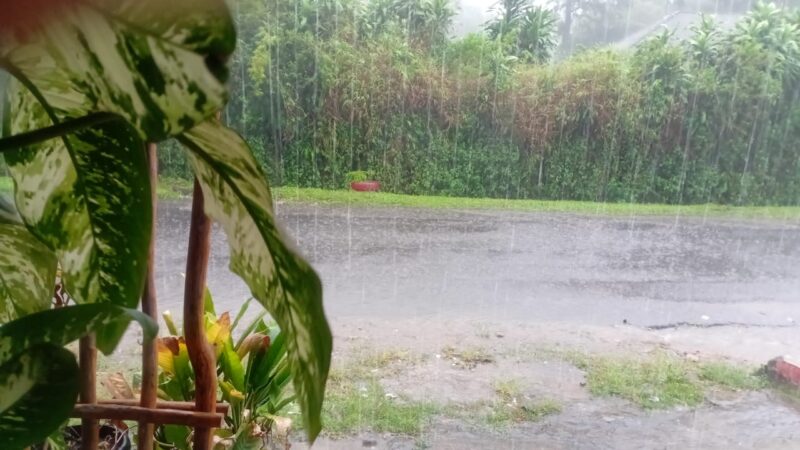 WhatsApp Image 2025-08-07 at 17.31.42