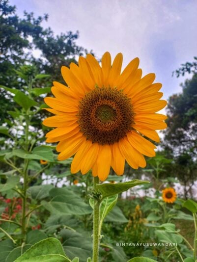 529393693_24128990660129037_4212855104986386435_n