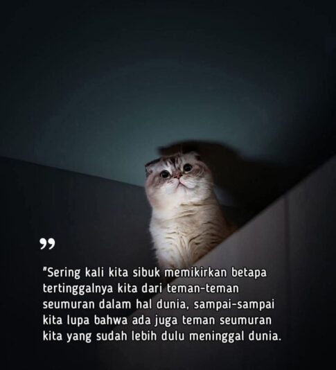 FB_IMG_1754208238909