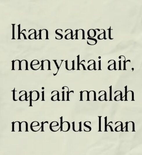 WhatsApp Image 2025-06-20 at 22.19.09_7acc1e2d