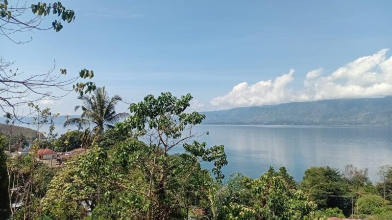 WhatsApp Image 2025-08-09 at 11.06.04