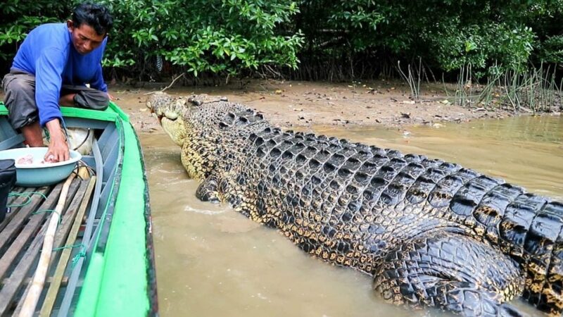 526494118_1575971413834069_6759646285104463804_n