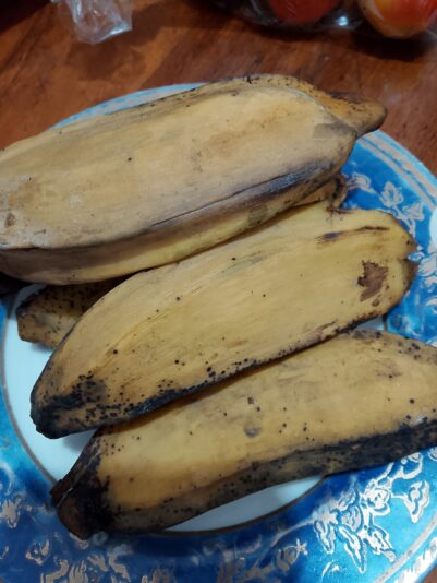 529737716_24232721553011091_320456710514835228_n