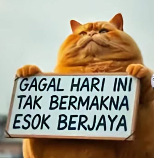 WhatsApp Image 2025-06-22 at 10.34.08_247162b9