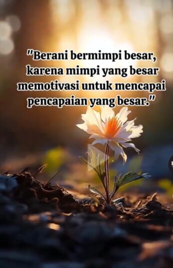 WhatsApp Image 2025-08-03 at 20.33.30_ac670874