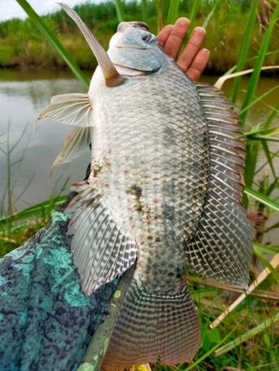 528389789_1358310779279051_294175822239097817_n