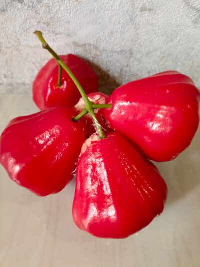 530347355_2199883640439156_3097950344034487222_n