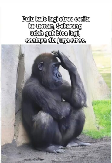 530410508_2269663473475683_4816022308449243847_n