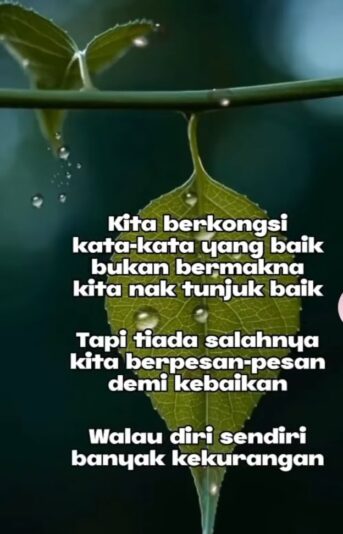 WhatsApp Image 2025-08-12 at 17.29.11_35b9f550