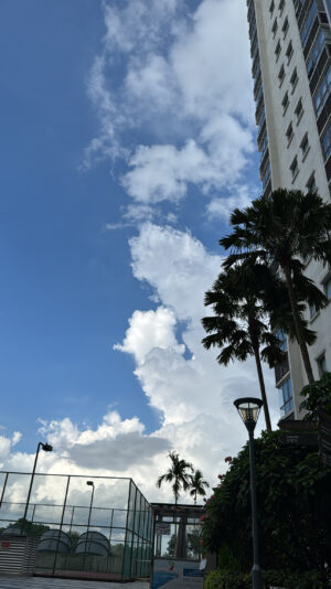 BF0688FB-72C7-4120-957C-44AA34F51E90