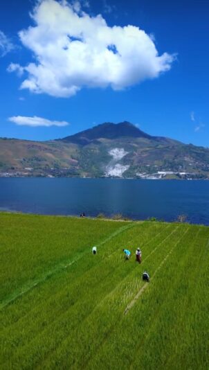 530543749_1353870372973475_6218830262601760335_n