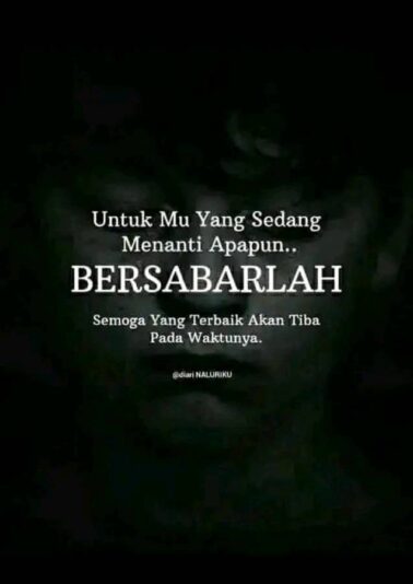 532233597_9955352877903297_3853499989679261304_n