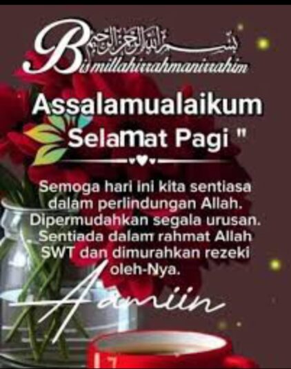 0ae86555-5278-4b45-9e1d-c6169bf024f8