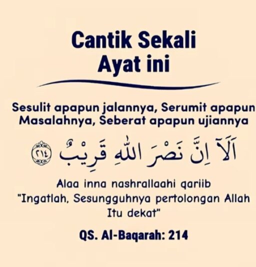 WhatsApp Image 2025-06-24 at 10.50.51(3)