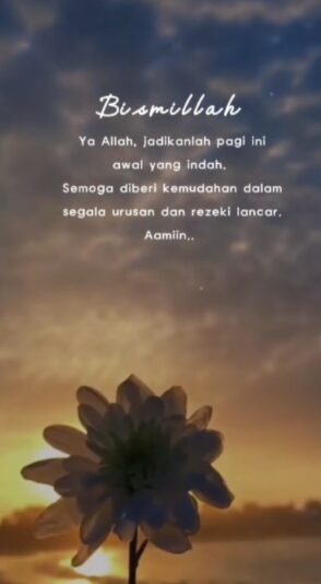 Screenshot_20250821_062249_TikTok