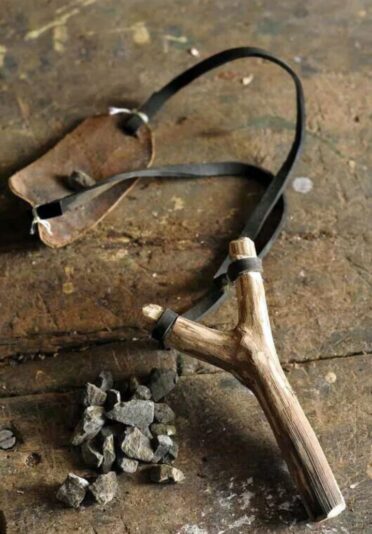 533104723_1312593963658402_4211113798398697343_n