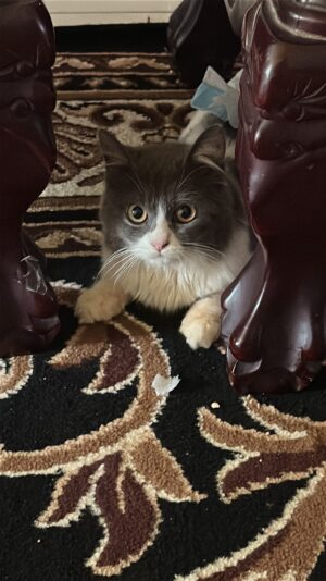 18C16528-CA5B-44DB-9D30-8FF250AD85D7