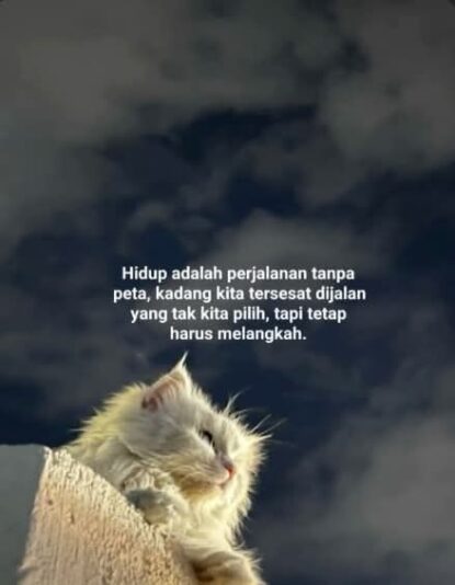 FB_IMG_1756040022401