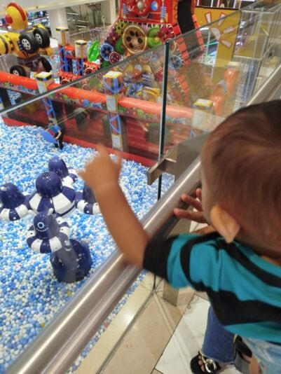 17561053794942017031564986712204