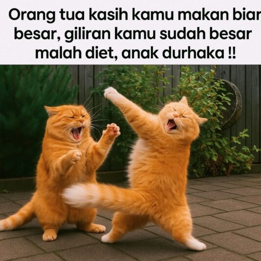 FB_IMG_1756198368051