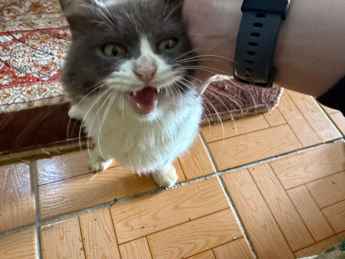 507d932f-ddeb-43bc-876c-c6c774bffce7