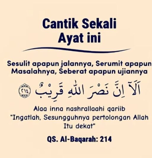 WhatsApp Image 2025-06-24 at 10.50.51(3)