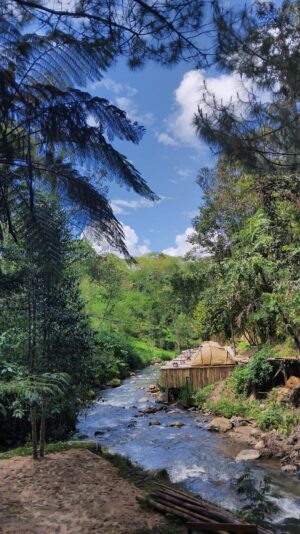 WhatsApp Image 2025-02-02 at 13.46.57 (1)