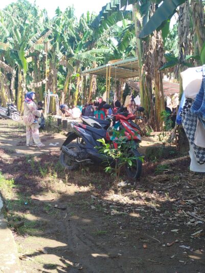 17491787020848238718894887028916