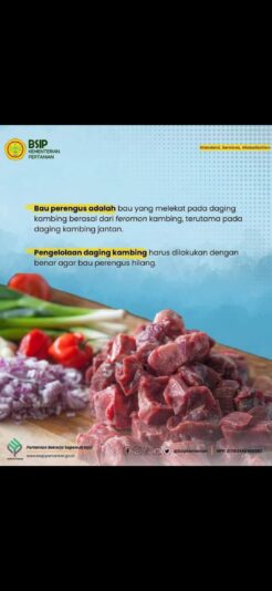 Screenshot_20250608-125951_Gallery