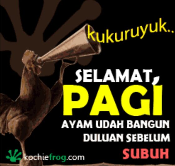 Screenshot_20250610_063618_Opera Mini