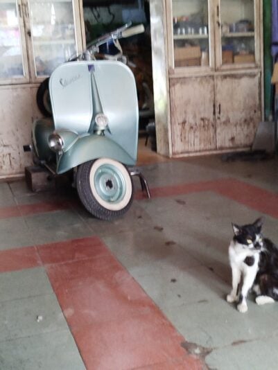 17495301028787278003040203876580